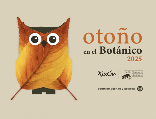 “Otoño en el Jardín Botánico de Gijón”, reconocido con un Premio ANUARIA DE ORO